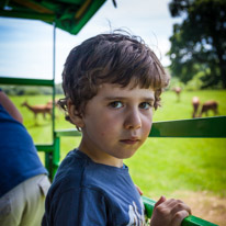 Bucklebury Farm - 30 June 2013 / Master Oscar