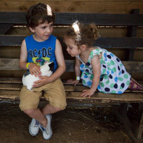 Bucklebury Farm - 30 June 2013 / Oscar with a guinea pig