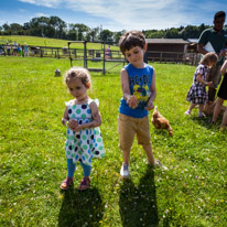 Bucklebury Farm - 30 June 2013 / Then we went getting some fresh eggs from the hens which we finally bought from the shop...