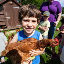 Bucklebury Farm - 30 June 2013 / Oscar with a hen