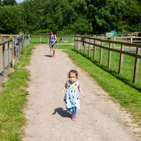 Bucklebury Farm - 30 June 2013 / Alana