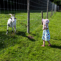Bucklebury Farm - 30 June 2013 / Alana with a goat