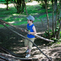 Bucklebury Farm - 30 June 2013 / Building a den in the forest