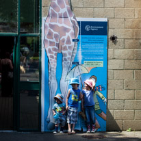 Winchester - 07 July 2013 / Thomas, Oscar and Amelia by the Giraffe enclosure