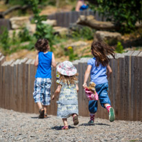 Winchester - 07 July 2013 / Oscar, Alana and Amelia running toward the Meerkats