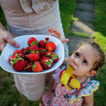 Henley-on-Thames - 13 July 2013 / Good harvest from the garden