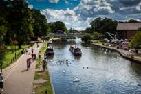 Newbury - 03 August 2013 / Newbury