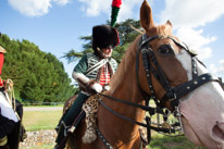 Highclere Castle - 03 August 2013 / Horse at Highclere Castle