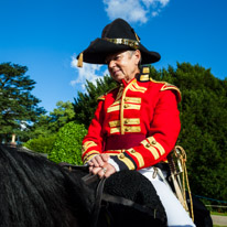 Highclere Castle - 03 August 2013 / Horse at Highclere Castle