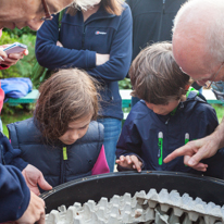 Hill Head - 09 August 2013 / Amelia and Oscar deeply interested in about 80 different species of bugs and moths...