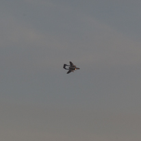 Hill Head - 09 August 2013 / No idea about this plane
