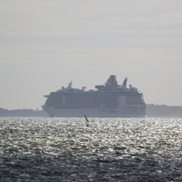 Hill Head - 10 August 2013 / A Cruise boat leaving Southampton