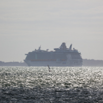 Hill Head - 10 August 2013 / A Cruise boat leaving Southampton