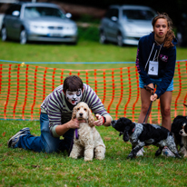 Hurley - 17 August 2013 / Dog race