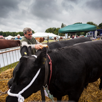 Henley-on-Thames - 14 September 2013 / Beautiful animals at the Henley Show