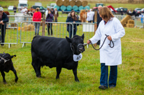 Henley-on-Thames - 14 September 2013 / Beautiful animals at the Henley Show