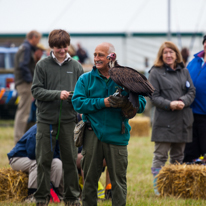 Henley-on-Thames - 14 September 2013 / Birds show