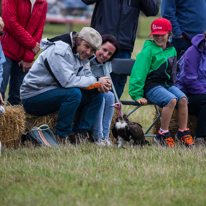 Henley-on-Thames - 14 September 2013 / Birds show