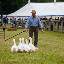 Henley-on-Thames - 14 September 2013 / Dog show