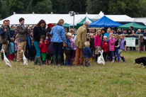 Henley-on-Thames - 14 September 2013 / Dog show