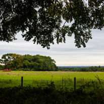 Greys Court - 15 September 2013 / The view over Greys Court