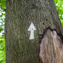 Greys Court - 15 September 2013 / Minimalism