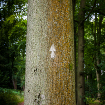 Greys Court - 15 September 2013 / Minimalism