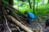 Greys Court - 15 September 2013 / Big den in the woods