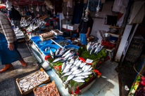 Istanbul - 3-5 October 2013 / Fish market by the Phosphorus