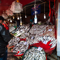 Istanbul - 3-5 October 2013 / Fish market by the Phosphorus