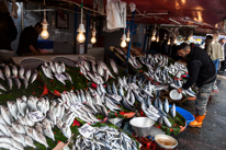 Istanbul - 3-5 October 2013 / Fish market by the Phosphorus