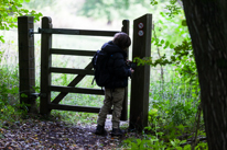 Henley-on-Thames - 12 October 2013 / Oscar passing a gate on the path