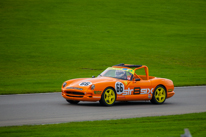 Donington Park - 19 October 2013 / TVR