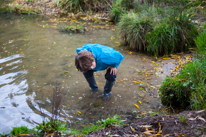 Cholsey - 26 October 2013 / Oscar trying to find water vole