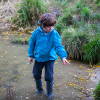 Cholsey - 26 October 2013 / Oscar trying to find water vole