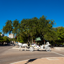 San Antonio - 02 November 2013 / Alama