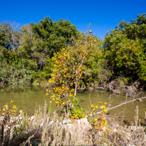 San Antonio - 03 November 2013 / The Countryside just north of San Antonio