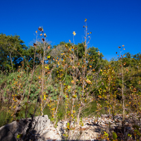 San Antonio - 03 November 2013 / The Countryside just north of San Antonio