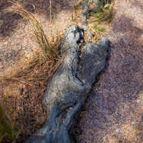 San Antonio - 03 November 2013 / Enchantered Rock National Park