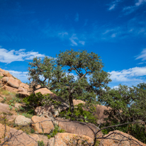 San Antonio - 03 November 2013 / Enchantered Rock National Park