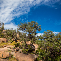 San Antonio - 03 November 2013 / Enchantered Rock National Park