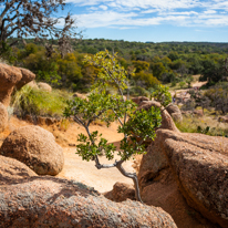 San Antonio - 03 November 2013 / Enchantered Rock National Park