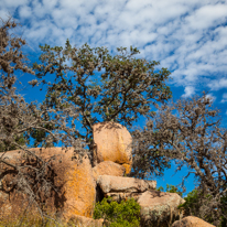 San Antonio - 03 November 2013 / Enchantered Rock National Park