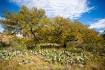 San Antonio - 03 November 2013 / Enchantered Rock National Park