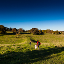 Basildon Park - 10 November 2013 / I just loved the light and the crisp air