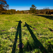 Basildon Park - 10 November 2013 / Selfie with Oscar