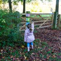 Basildon Park - 10 November 2013 / Alana deciding the way to follow