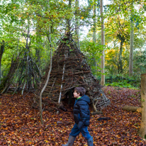 Basildon Park - 10 November 2013 / Nice den in the woods