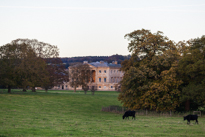 Basildon Park - 10 November 2013 / Basildon house