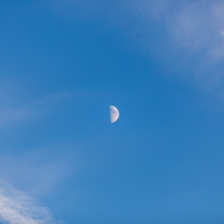 Basildon Park - 10 November 2013 / Our friend the moon